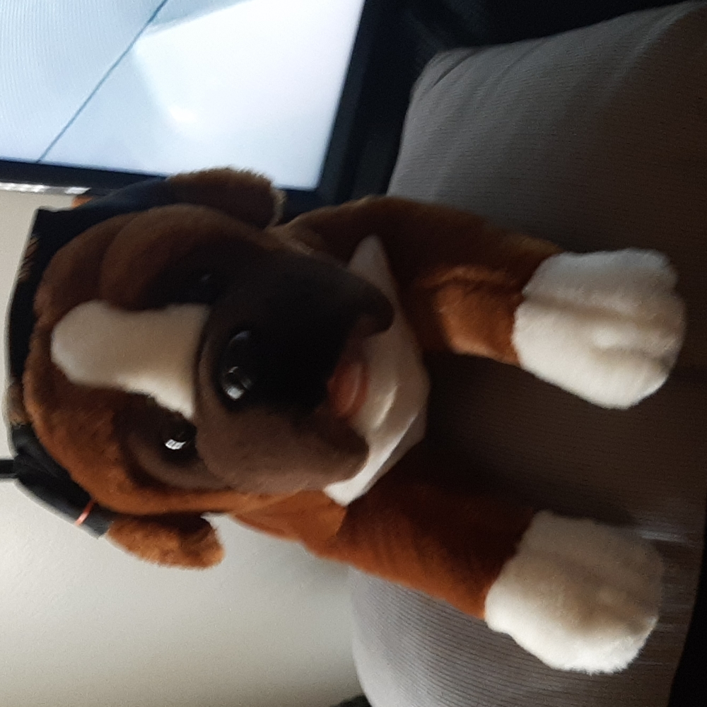 Harley-Davidson Puppy